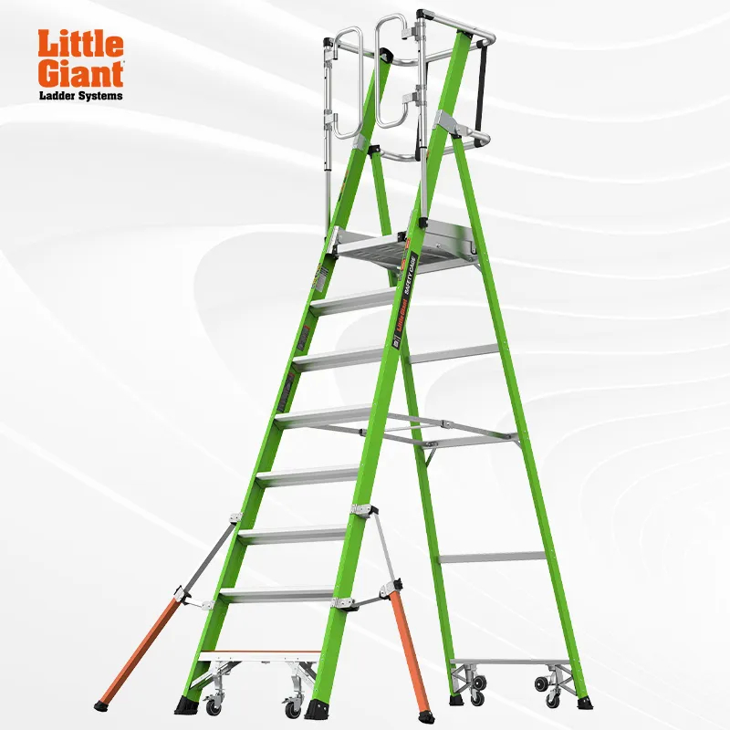CAGE safety cage ladder series